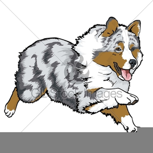 300x300 Dog Agility Clipart Free Images