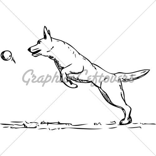 500x500 Dog Agility Gl Stock Images