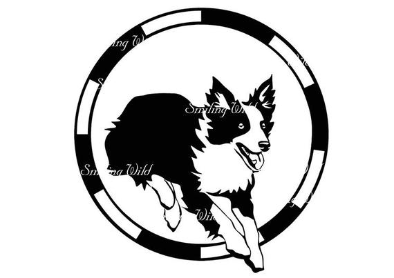 570x403 Dog Sport Clipart Agility Hoop Border Collie Dog Vector Etsy