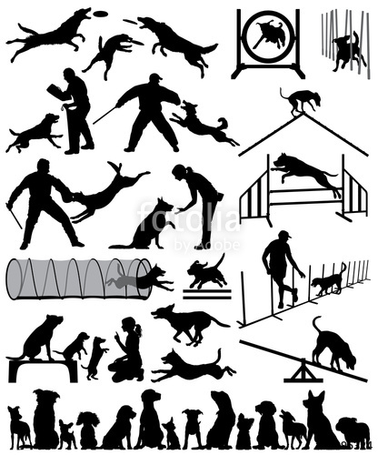Dog Agility Vector at Vectorified.com | Collection of Dog Agility