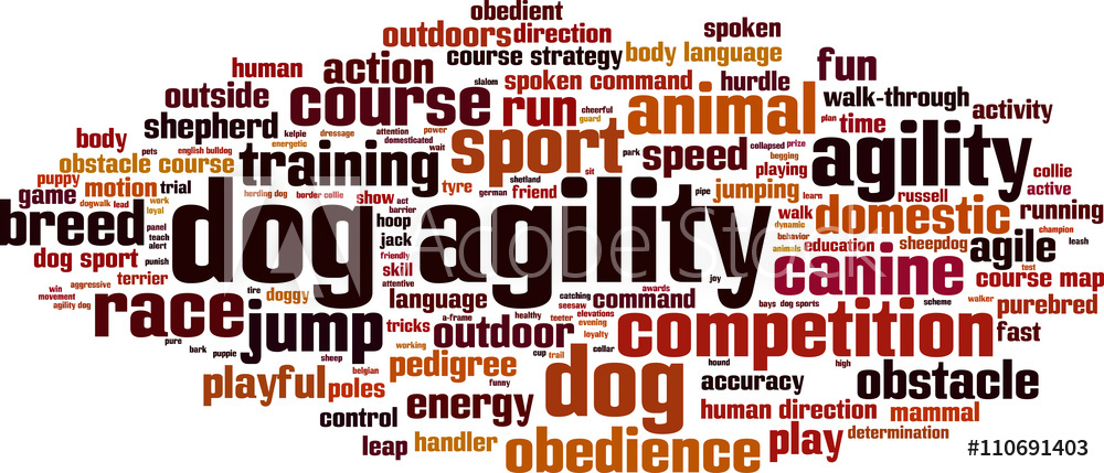 1000x429 Photo Art Print Dog Agility Word Cloud Concept Vector