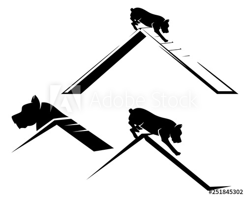 500x400 Pet Dog Running The Agility Sport Obstacle