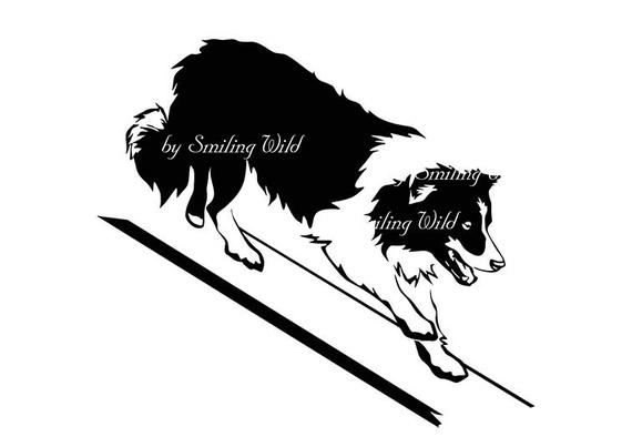 570x403 Border Collie Dog Agility Clipart Vector Graphic Art Dog Etsy