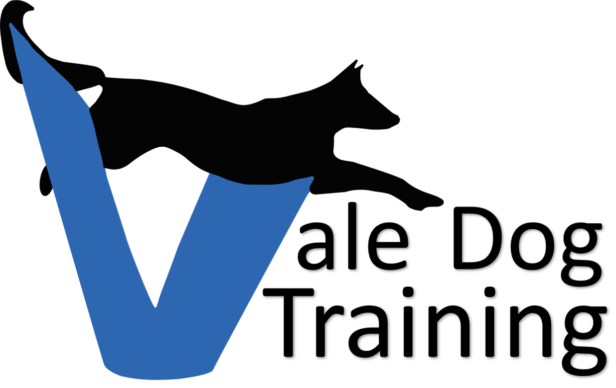 1236x780 Clip Art Free Dog Agility Png Files, Free Clip Art Download