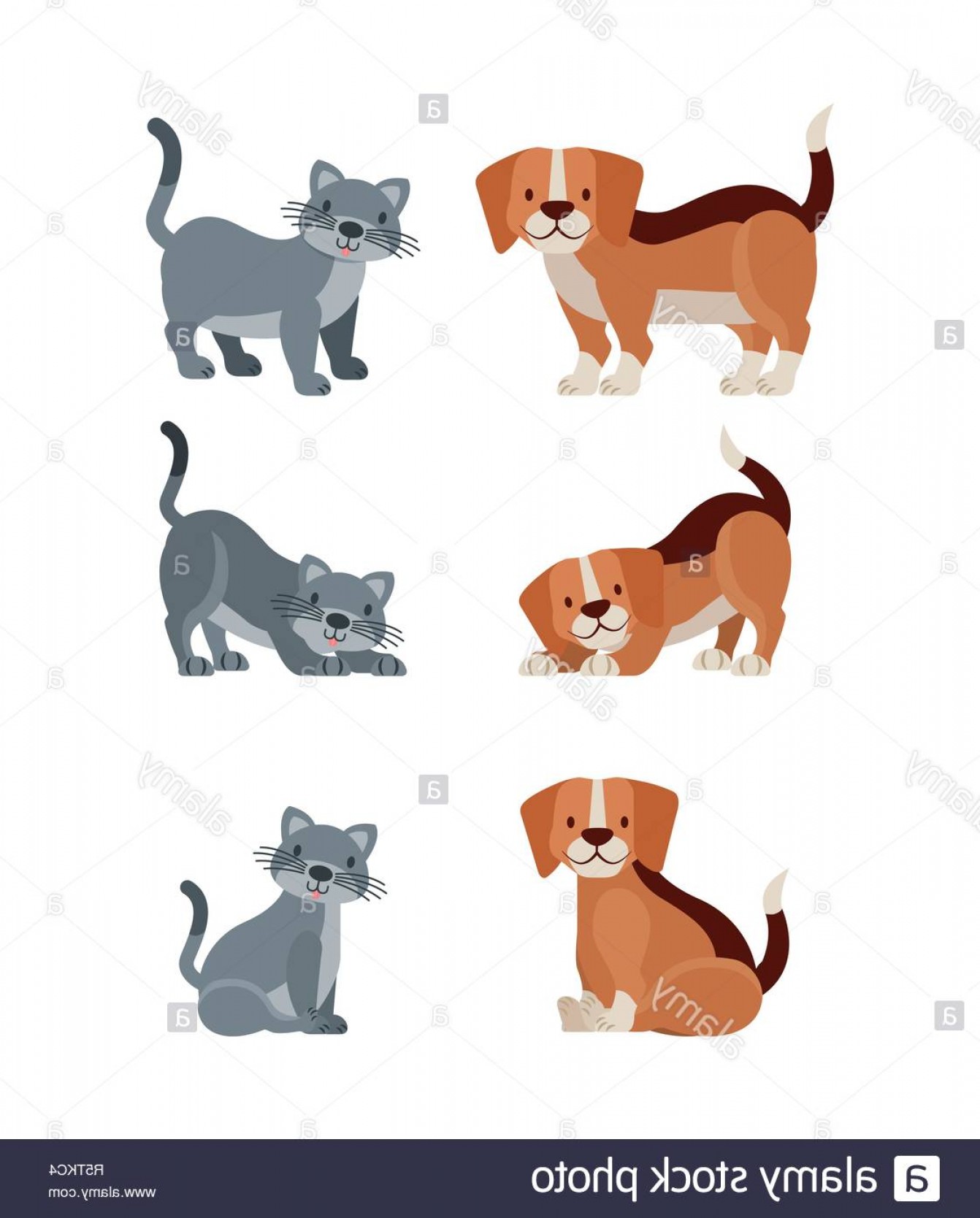 1342x1668 Dog And Cat Vector Illustration Lamaison