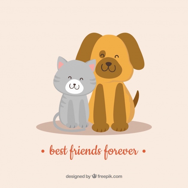 626x626 Friendship Cat Vectors, Photos And Free Download