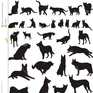 300x300 Royalty Free Stock Image Cats Dogs Vector Illustrations Image