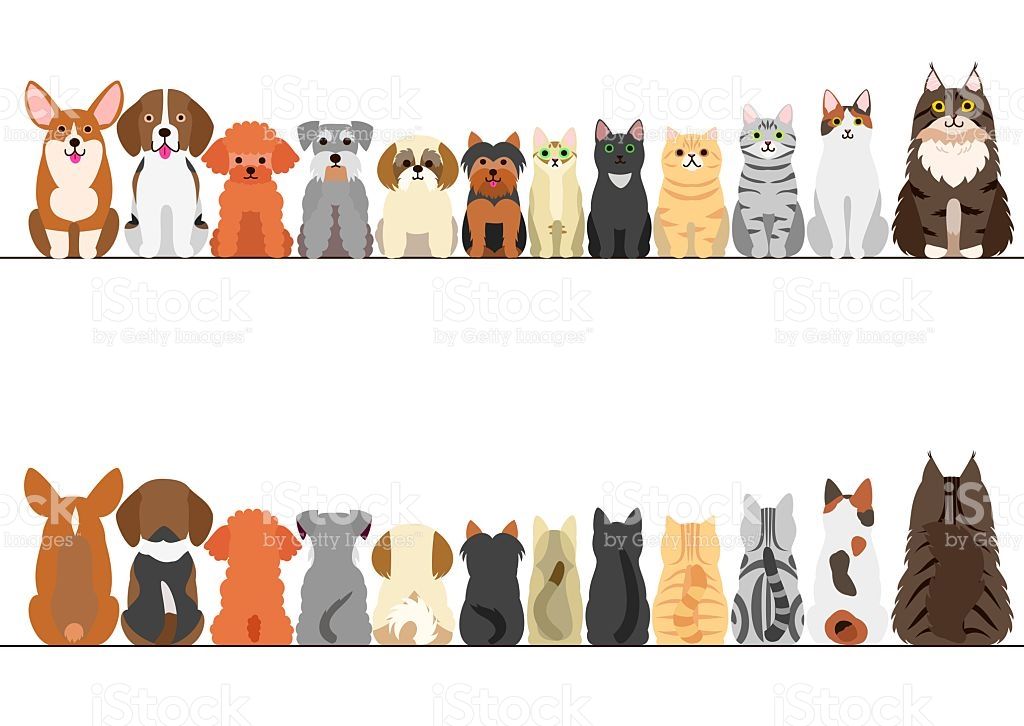 1024x726 Cats And Small Dogs Border Set, Front View And Rear View