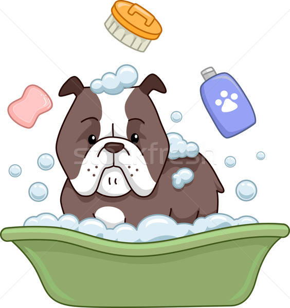 564x600 Dog Bath Vector Illustration Lenm