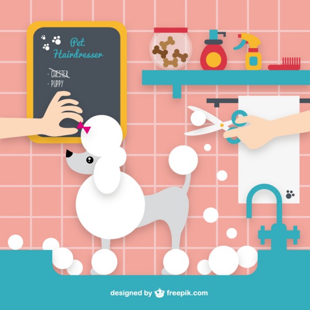 626x626 Dog Grooming Vectors, Photos And Free Download