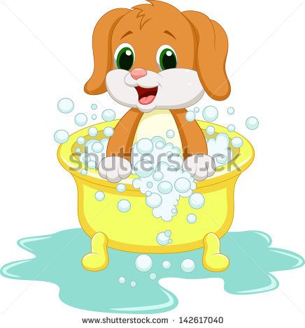 436x470 Dog Bathing Time