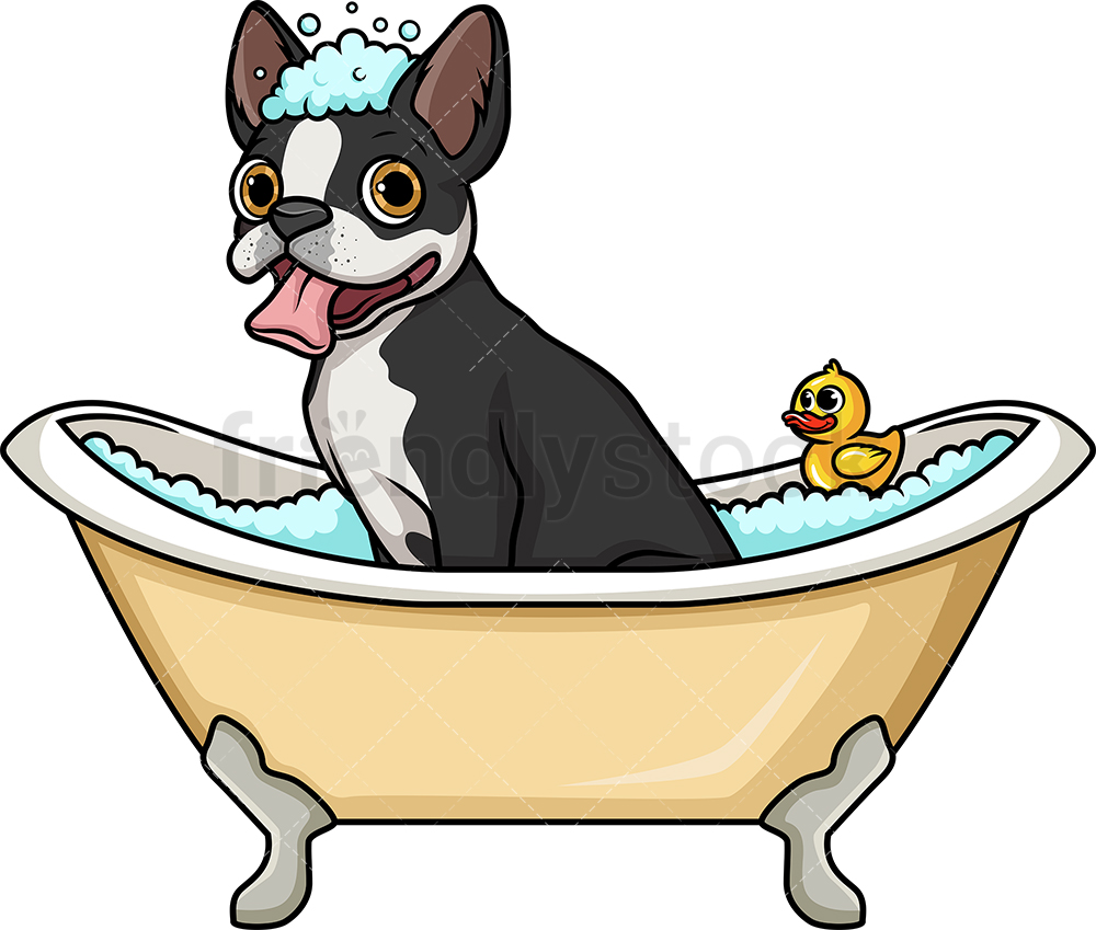 1000x849 Boston Terrier Having A Bath Cartoon Vector Clipart