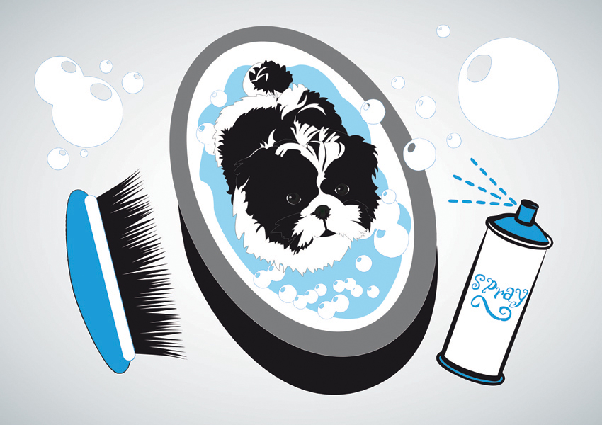 850x600 Small Dog Bath Vector Art Graphics