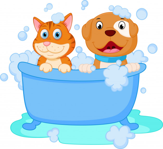 626x575 Cute Dog And Cat Bath Vector Premium Download