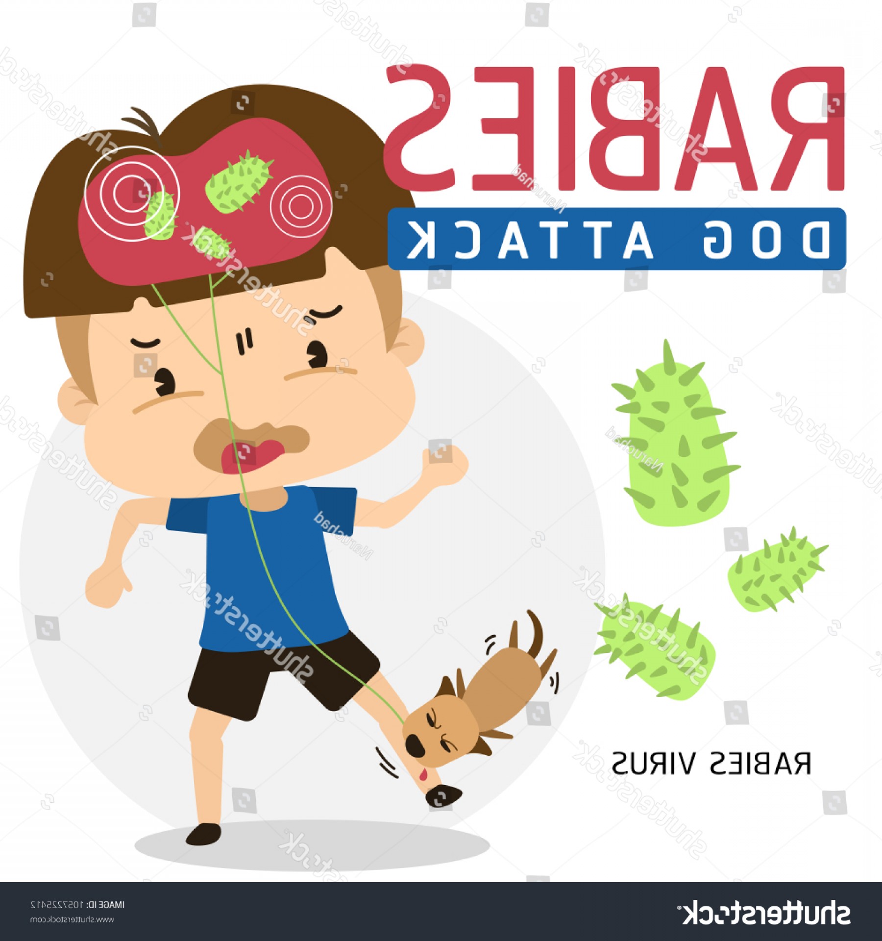 1800x1920 Illustration Rabies Disease Dogs Attack That Soidergi