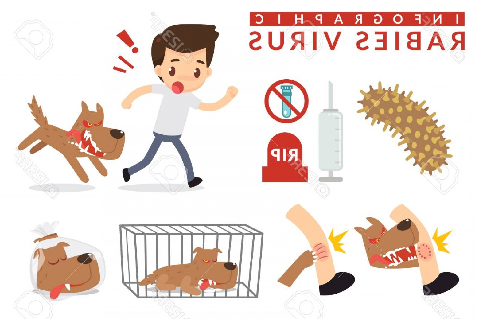 1560x1039 Rabies Vectors Catamart