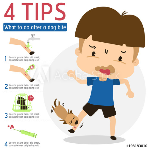 Dog Bite Vector at Collection of Dog Bite Vector free for personal use