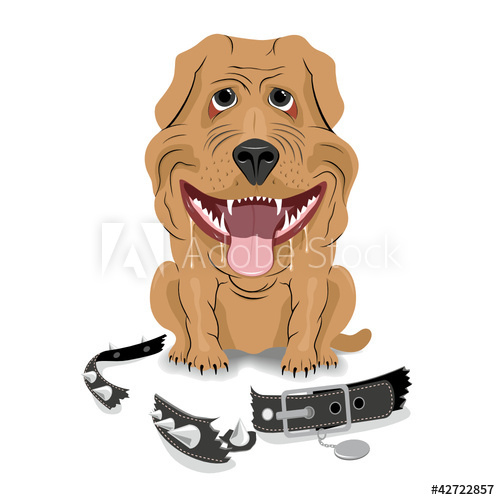 500x500 Dog Bite Dog Collar