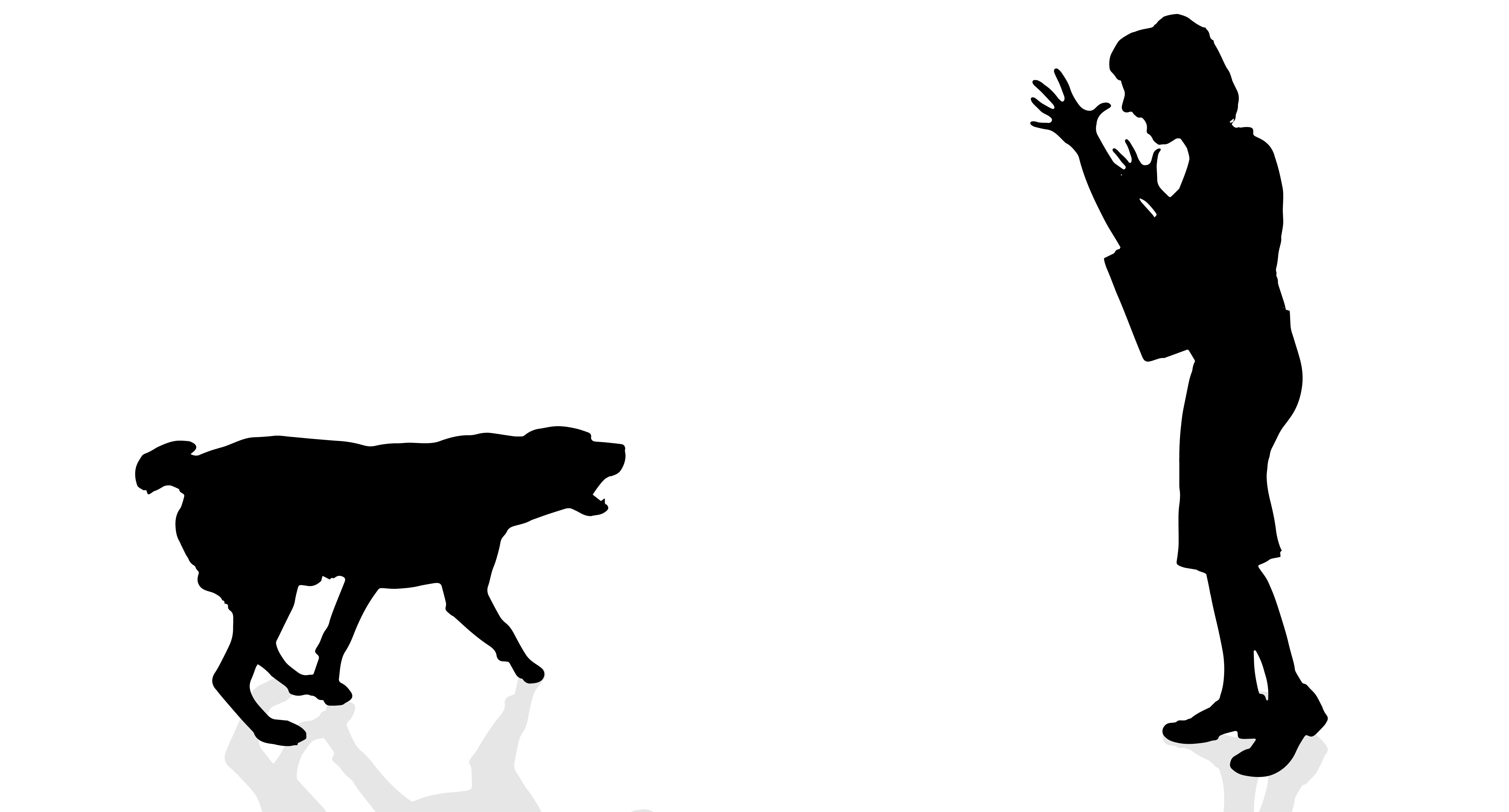 5417x2917 All About Dog Bites