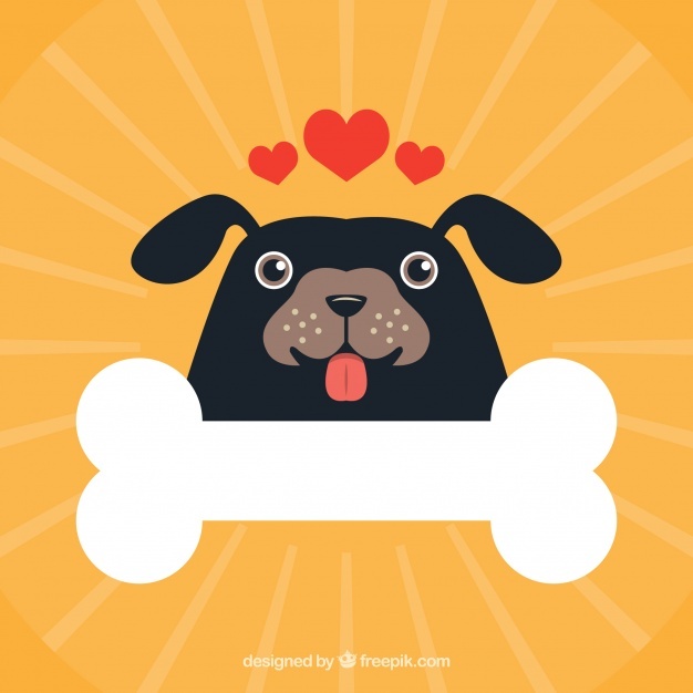 626x626 Dog Bone Vectors, Photos And Free Download
