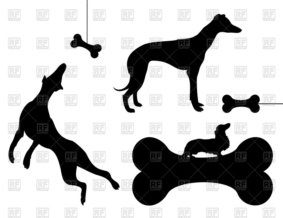 Dog Chases Bone Vector Image Of Plants And Animals 1200x923 Dog Chases Bone Vector Image Of Plants And Animals