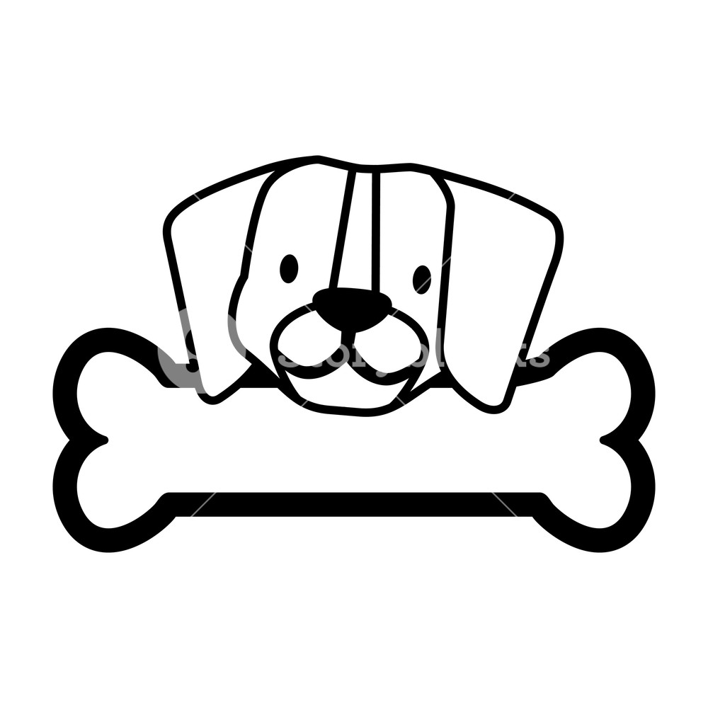 Cute Beagle Dog And Bone Vector Illustration Royalty Free Stock 1000x1000 Cute Beagle Dog And Bone Vector Illustration Royalty Free Stock