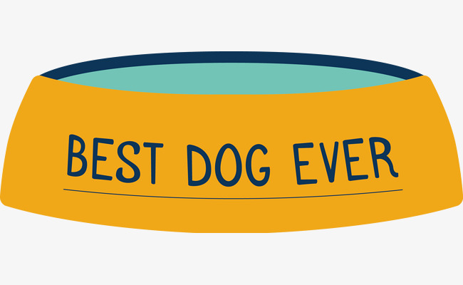 650x400 Dog Water Bowl, Dog Vector, Water Vector