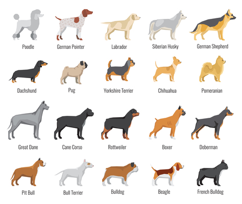 474x400 Dog Breeds Retro Cartoon Icons Collection Vector Illustration
