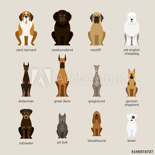 500x500 Dog Breeds Set, Giant And Large Size, Front View, Vector