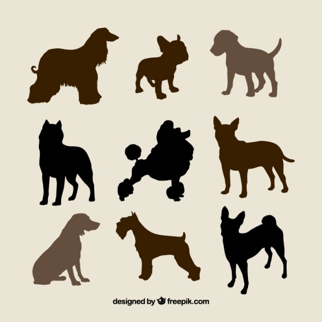 626x626 Dog Vectors Free Vector Graphics Everypixel