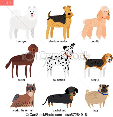 450x464 Dog Breeds Cartoon Icon Dog Breeds Vector Cartoon Dog Vector