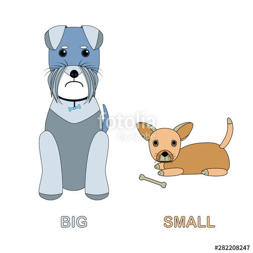 500x500 Big Dog And Little Dog Card For Children