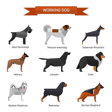 450x450 Dog Breeds Vector Set Isolated On White Background Illustration