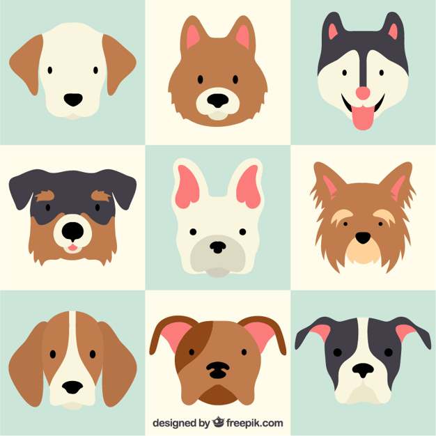 626x626 Lovely Dog Breeds Vector Free Download