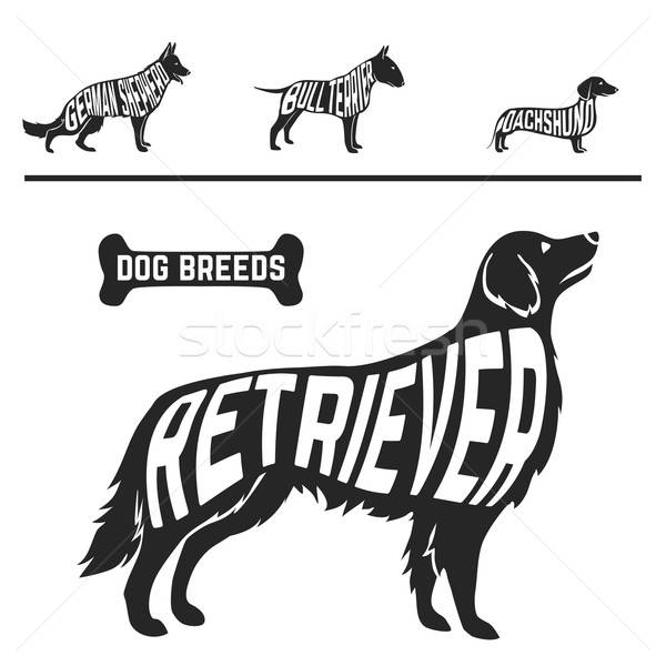 600x600 Set Of Different Dog Breeds Silhouettes Isolated Black On White