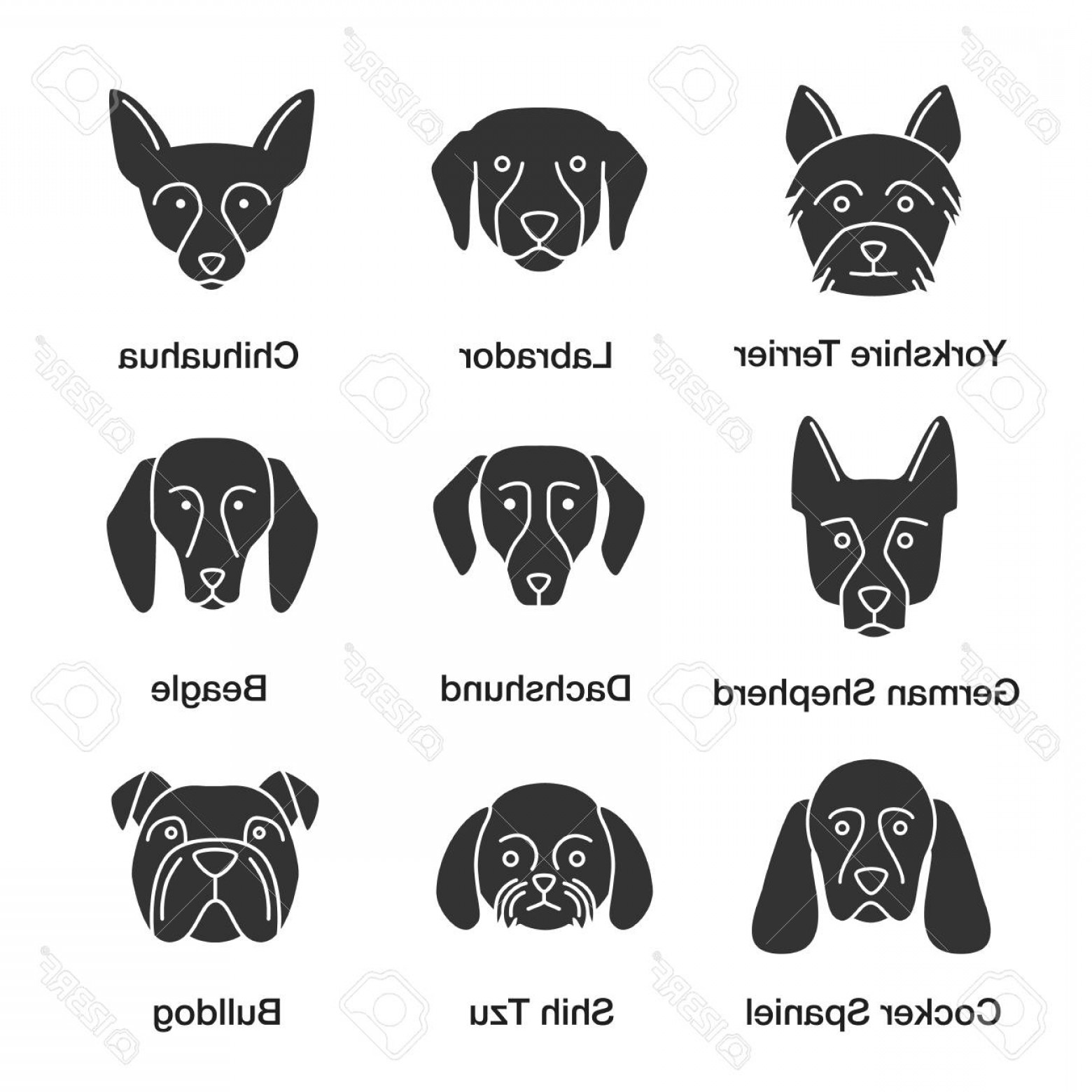 1560x1560 Shih Tzu Silhouette Vector Geekchicpro