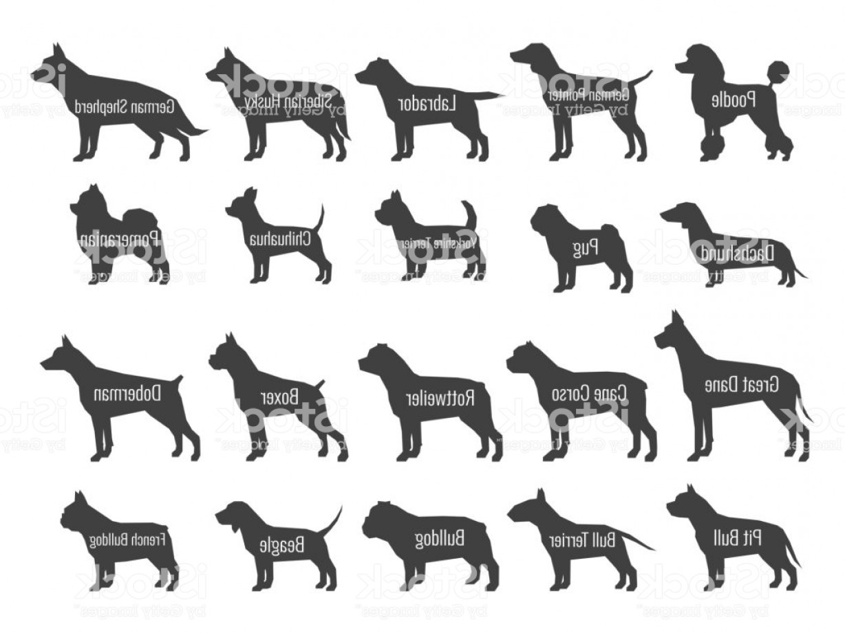 1228x921 Vector Silhouettes Of Pets Hoodamathrun