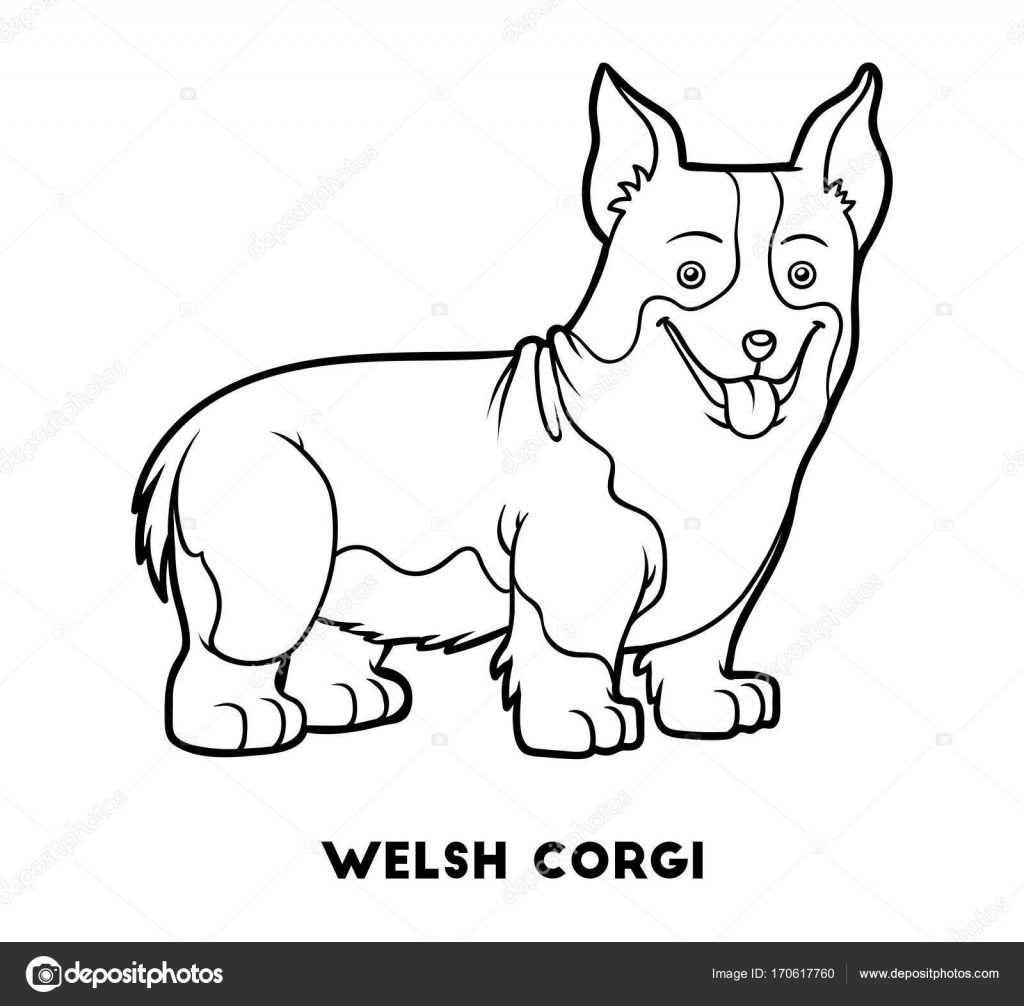 1024x1006 Coloring Color Pages For Kidsoring Book Dog Breeds Welsh Corgi