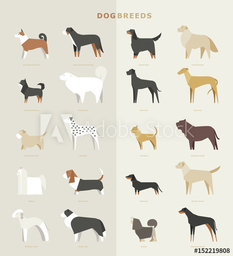 Dog Breeds Vector at Vectorified.com | Collection of Dog Breeds Vector ...