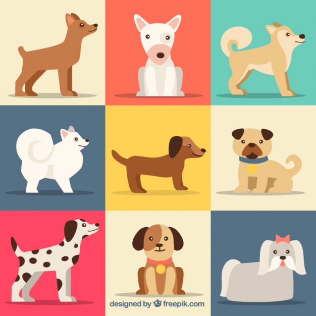626x626 Collection Of Cute Dog Breeds Vector Free Download