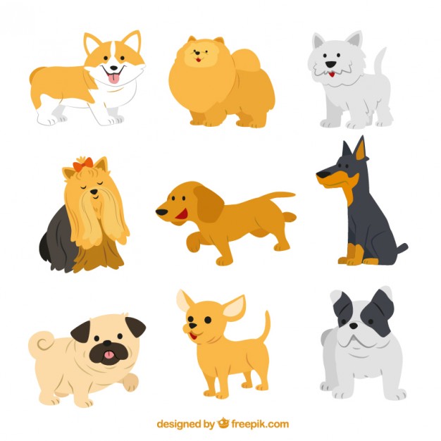 626x626 Cute Dog Breeds Vector Free Download
