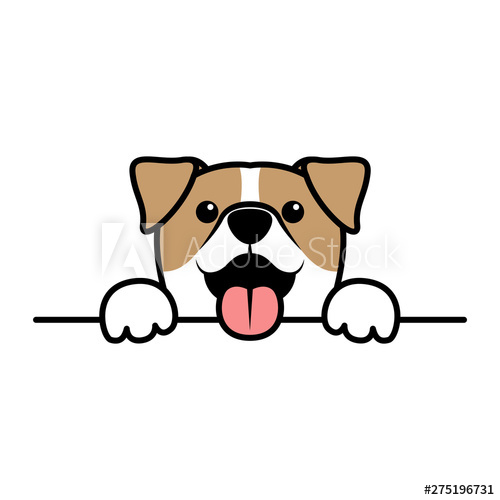 500x500 Cute Jack Russell Terrier Paws Up Over Wall, Dog Face Cartoon