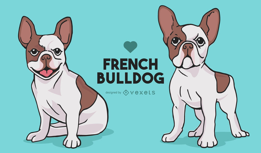 900x529 French Bulldog Dogs Cartoons