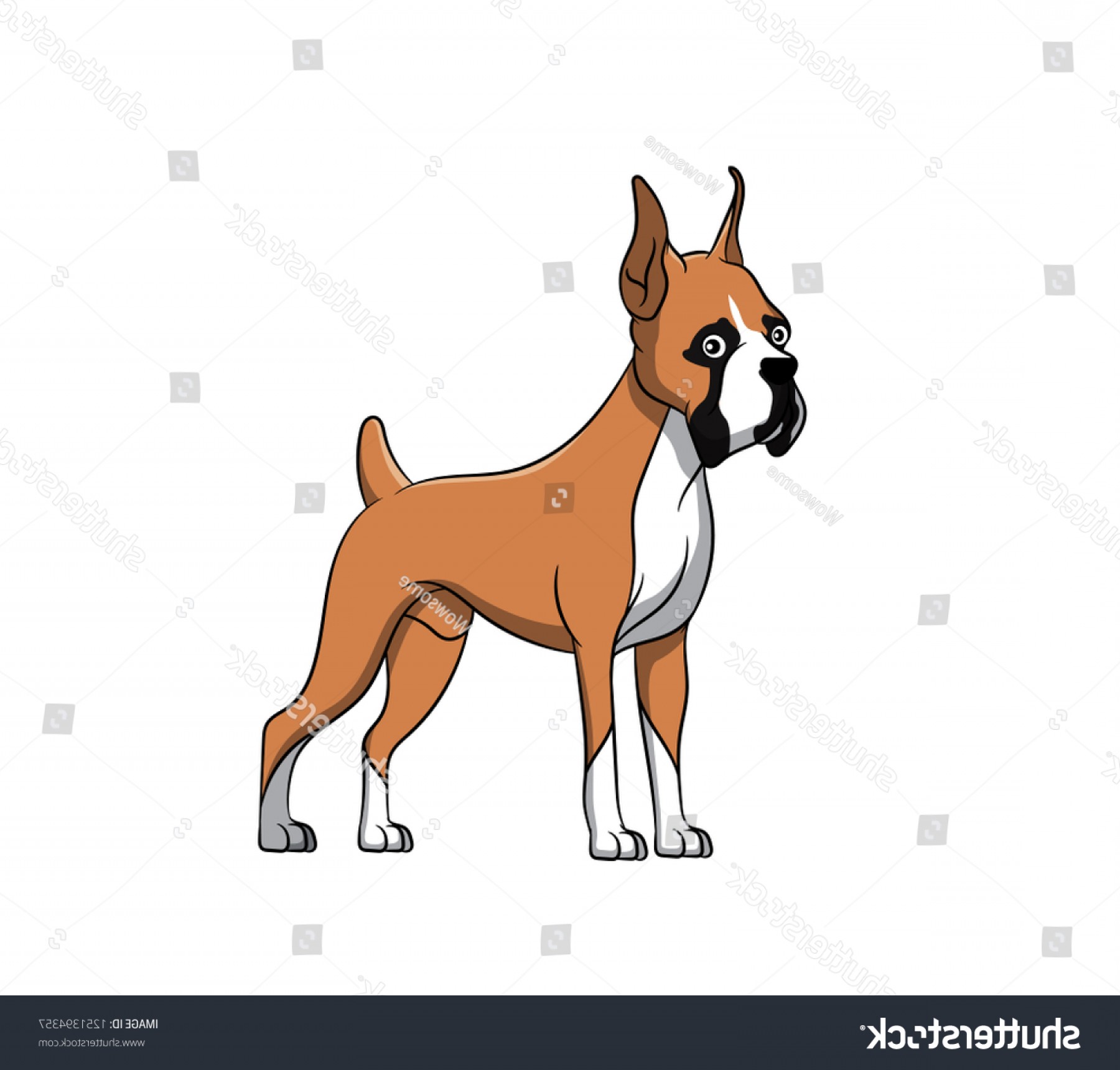 1800x1720 Cute Boxer Cartoon Dog Vector Illustration Cqrecords