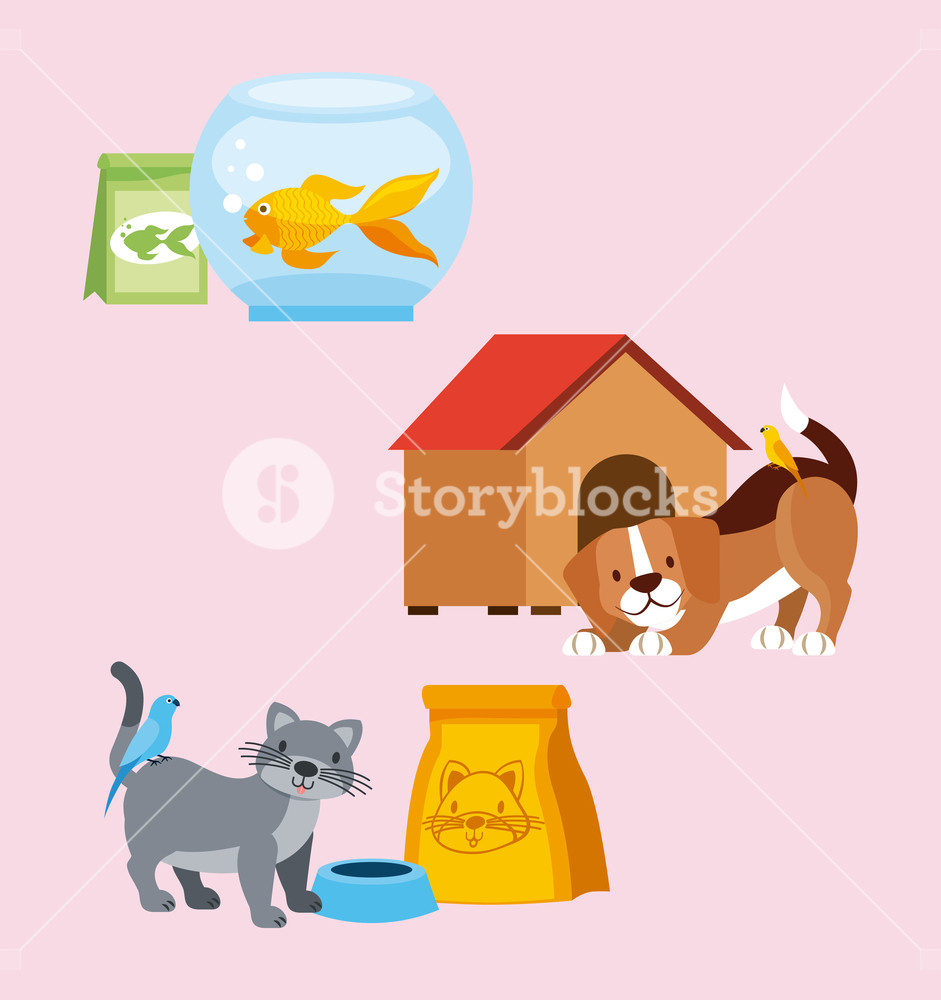 Pet Shop Dog Cat Bird Goldfish Food House Vector Illustration 941x1000 Pet Shop Dog Cat Bird Goldfish Food House Vector Illustration