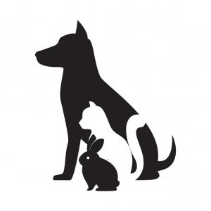 Composition Of Dog And Cat Silhouettes Vector Hoodamathrun 300x300 Composition Of Dog And Cat Silhouettes Vector Hoodamathrun