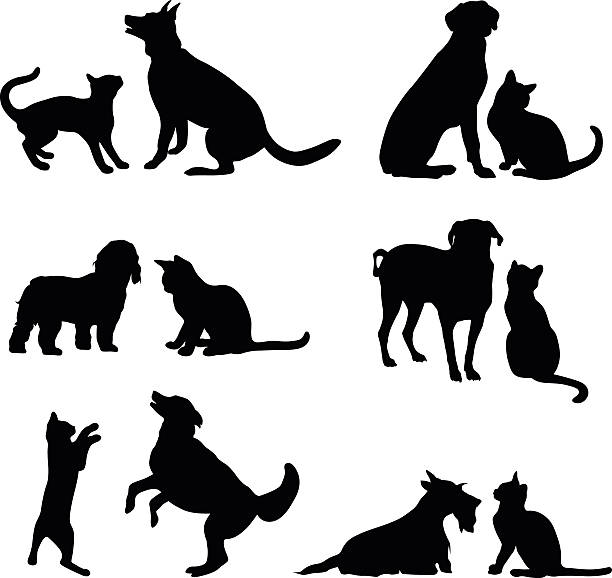Dog And Cat Silhouette Vector 612x578 Dog And Cat Silhouette Vector