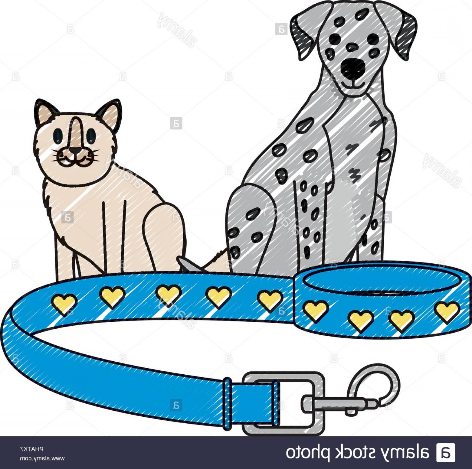 1560x1551 Cute Dog And Cat With Pet Collar Over White Background Vector