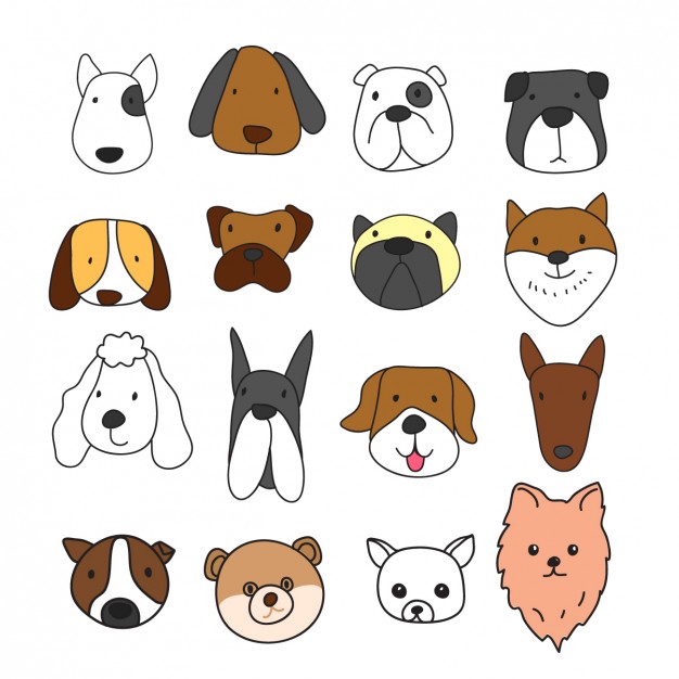 Different Dog Faces Collection Vector Free Download 626x626 Different Dog Faces Collection Vector Free Download