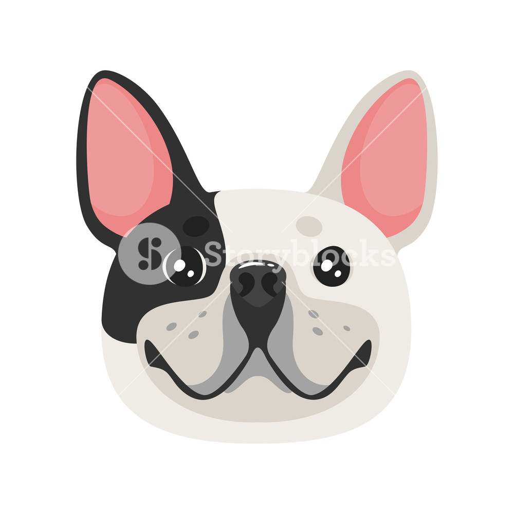 French Bulldog Dog Face Adorable Pet Vector Illustration 1000x1000 French Bulldog Dog Face Adorable Pet Vector Illustration